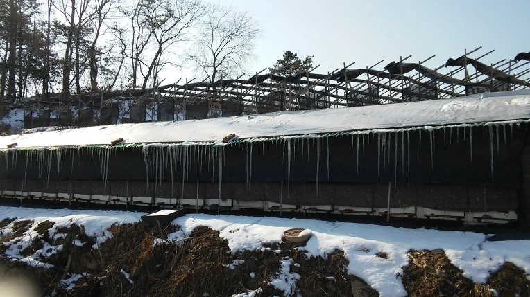 2772954A588A8F8403BDCF