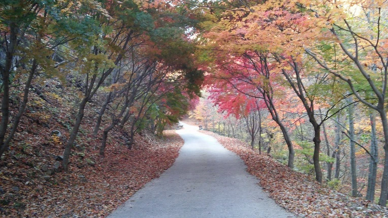 999D15335A0ED10826F36C