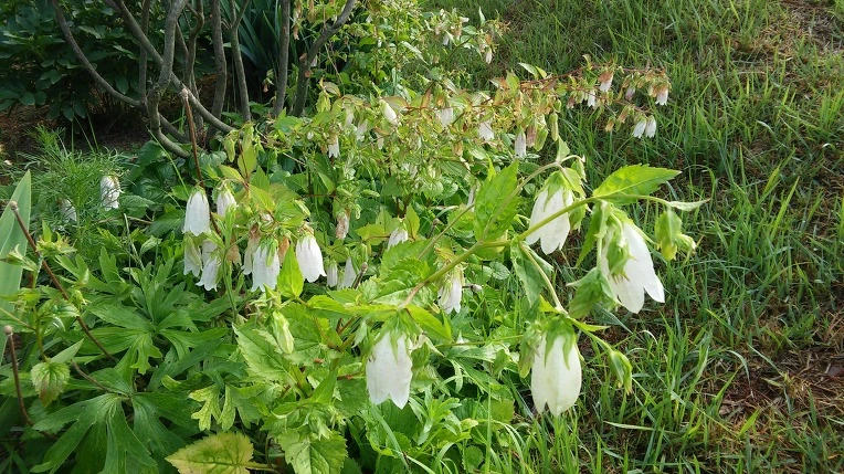 2251E739575A1F3907F5A6