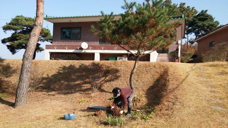 2336CE4458323184045DC9