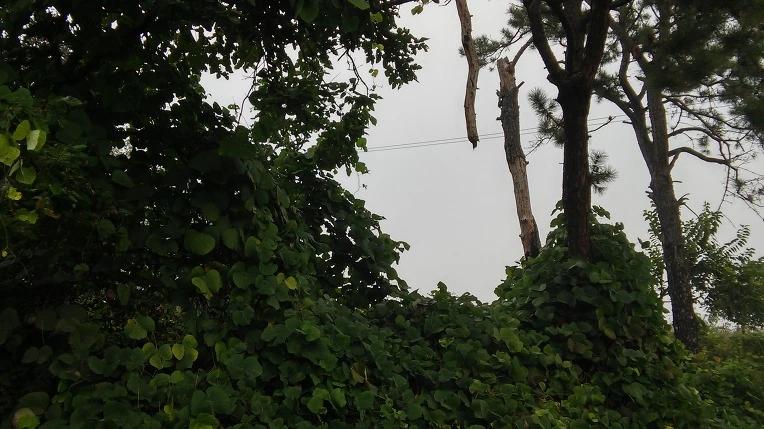 23350C4F57E7020A13A0FF