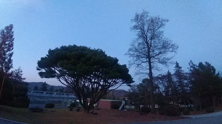 99A159365C275B0A239CC4