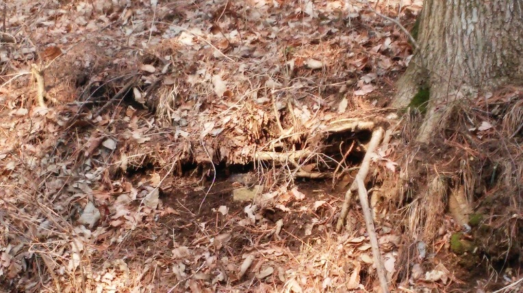 2420853656E771BC027765