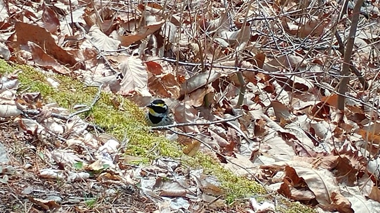 9982EA425AC8A282094630