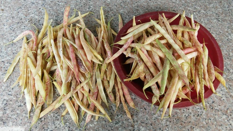 217FDC47576F813506DFBA