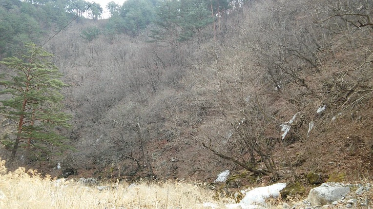 277E154358D4FAED130311