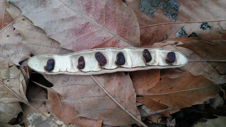 276EBB4C571AD0CD10A1F0