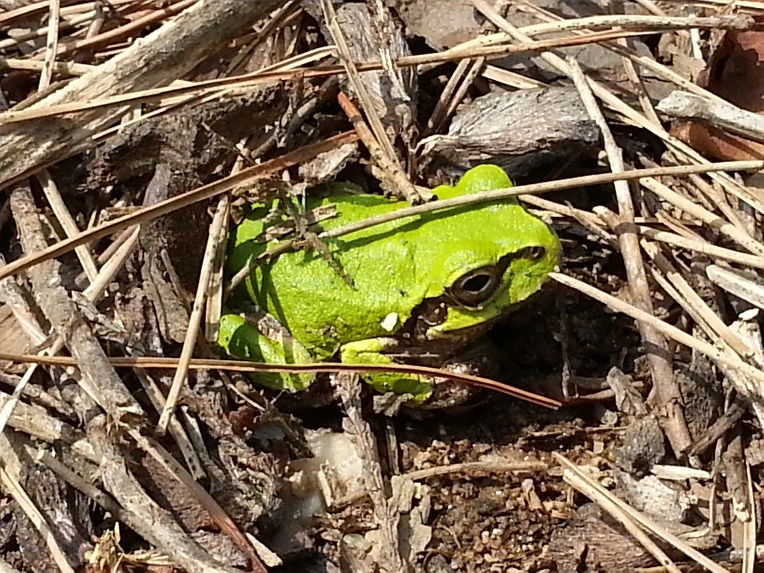 253E964A56B026570996B0