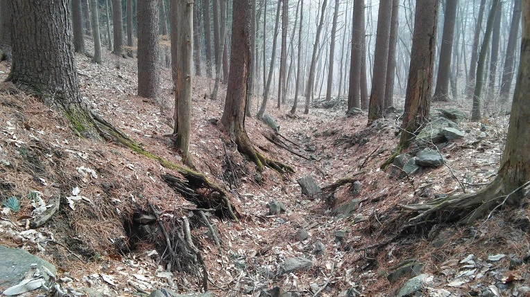 2521924156EDE52230A3E5