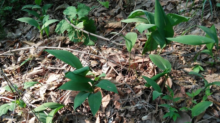 243F414C57269776018C7D