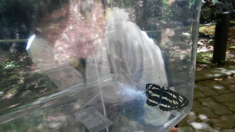 251DCD415652883F2D64FF