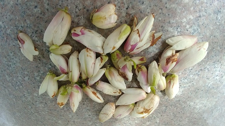 994B774C5ACD32A5180133