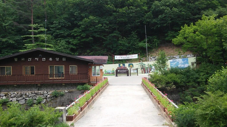 99FF8B33599E25B1282F25