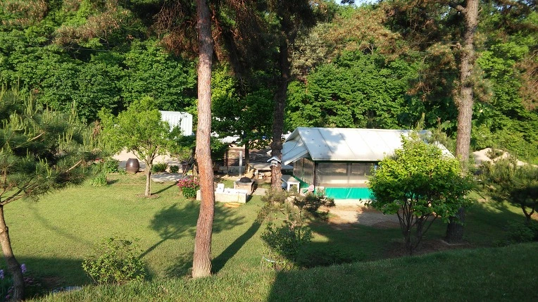 25764D4F591BAE2A344B66