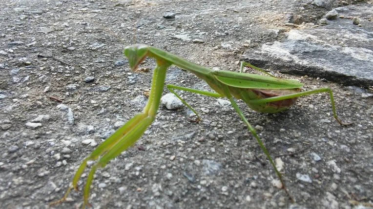 26350A375600FE0D03CFA6