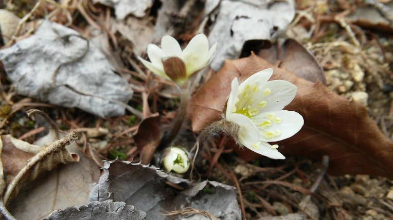 213DB84556F4DC98328228