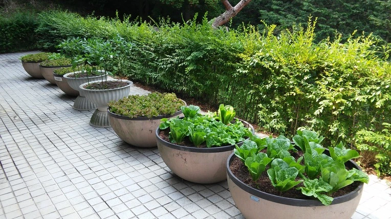 2361C7365577E3A414EE3D