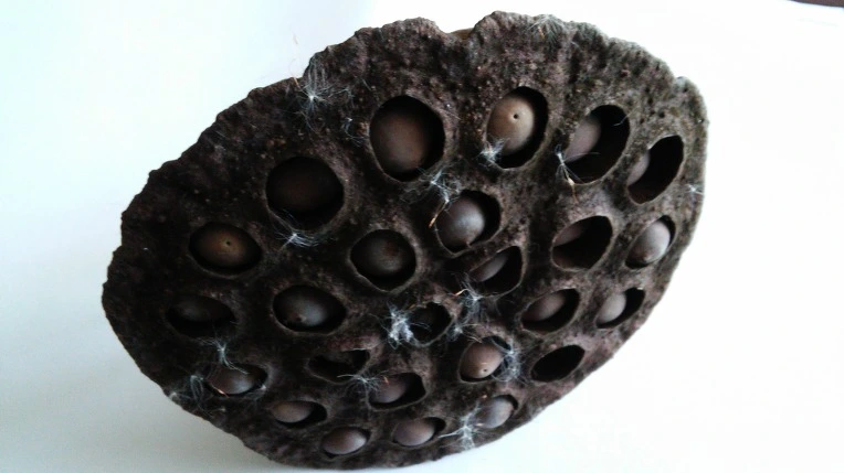 2357BE4D56A9E9C308DFD0