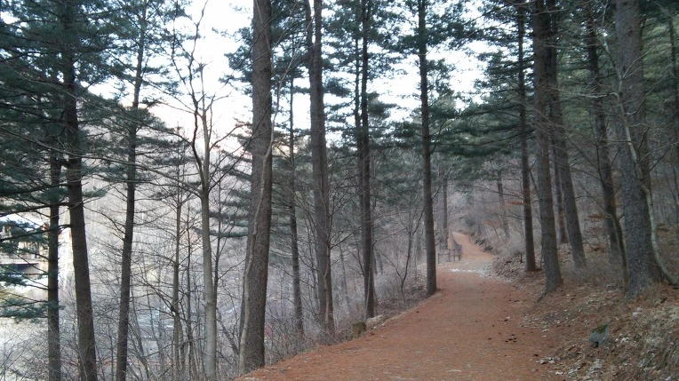 2773E73E56D7BD280ED3EA