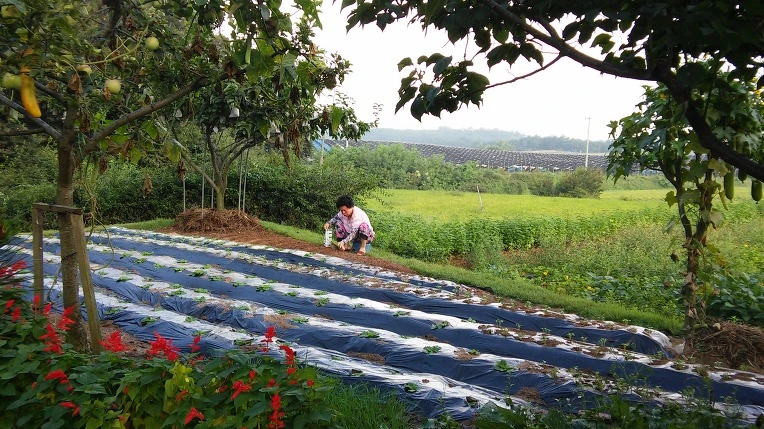 2674634957CA23131E1D7C