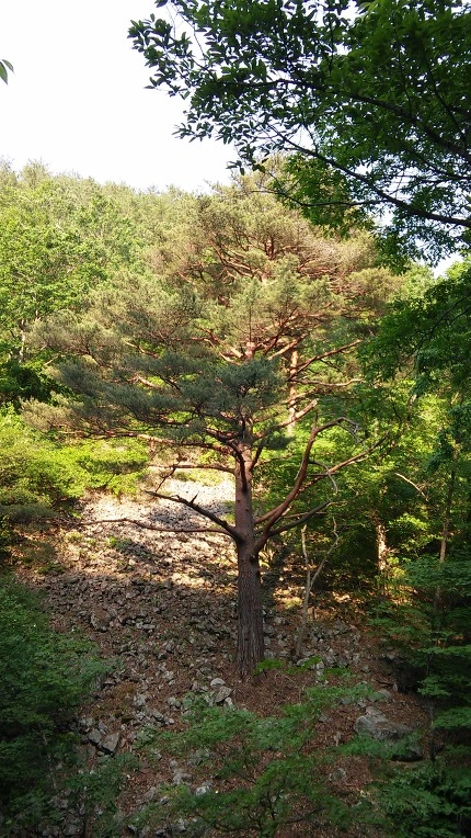 242CAE3C592B411E0365F4