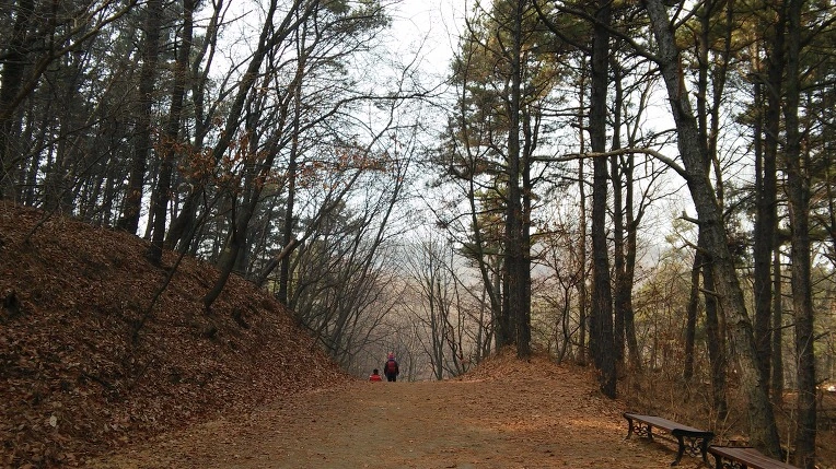 250DFE4E58B3664B1A0AC9