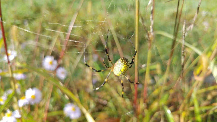 99D2F7405BBAFCC23216BE