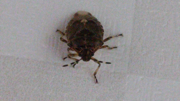 232FBC3356F3900E04D907