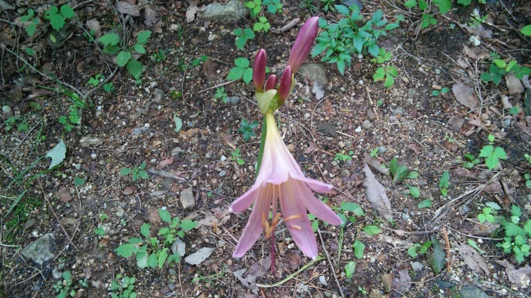 992FA7335984F687158013