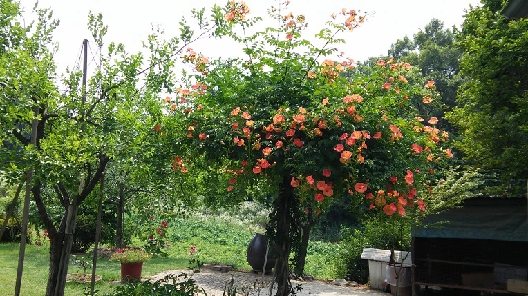 2419C94F5771F70227F4B5