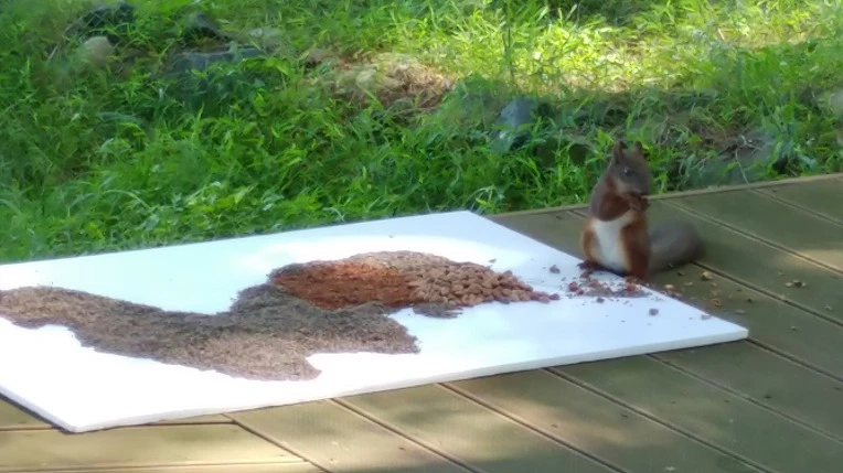 9979CE4A5B4D8EE90ADEEC