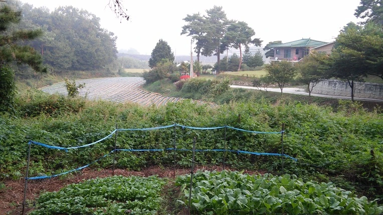 2248C03557E4683C2F63E5