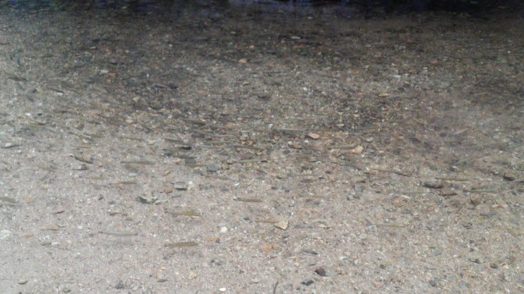 994A09335A0D1D0619C2C8