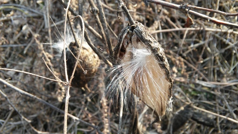 265FB73556B3077C0F4A37