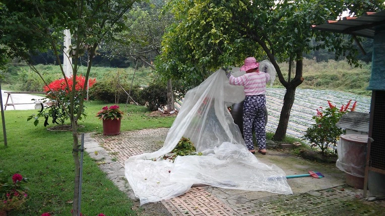 277AC54357E795F728236B