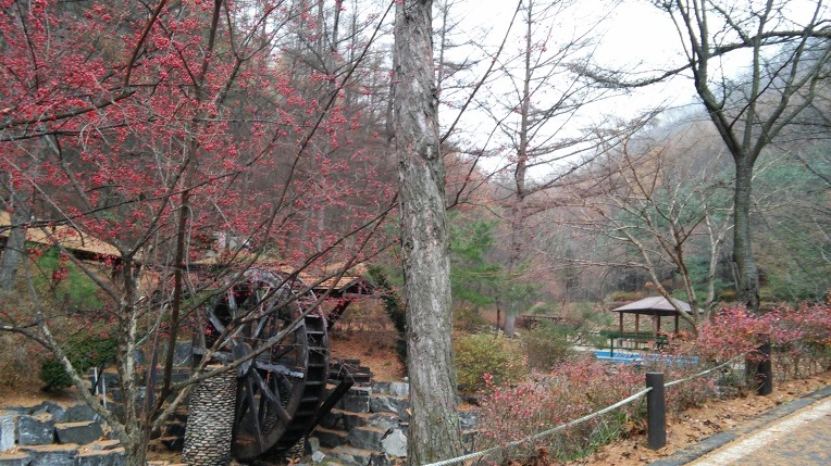 2572AF34564D170015104D