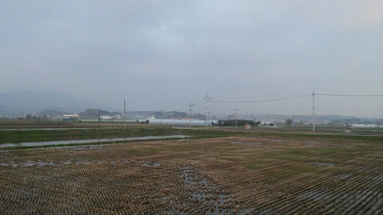 253E36375715583814C93C