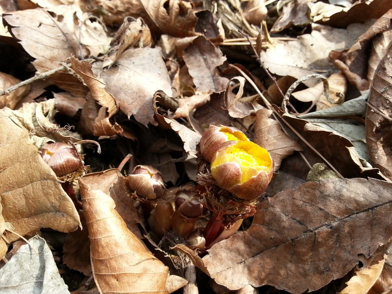 2270393E5301642B14E494