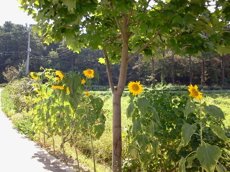 120351344E66D88F1E8830