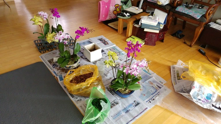 9917443C5A8AA08208D180