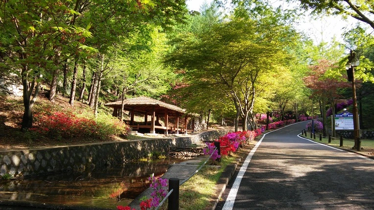 2623353B569327E83051FF