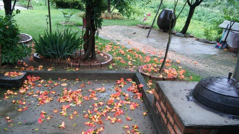 255C034F57BA77A906110A