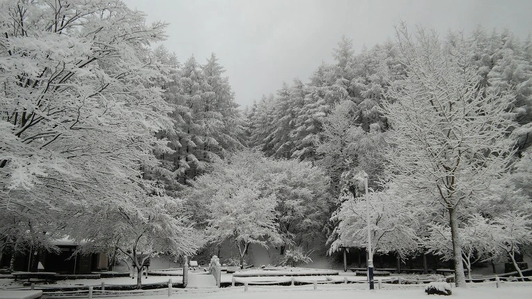 21616533565F93FC243D36