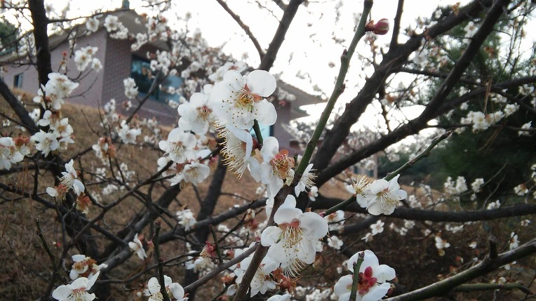 2412C94056FC8C0109E6BD