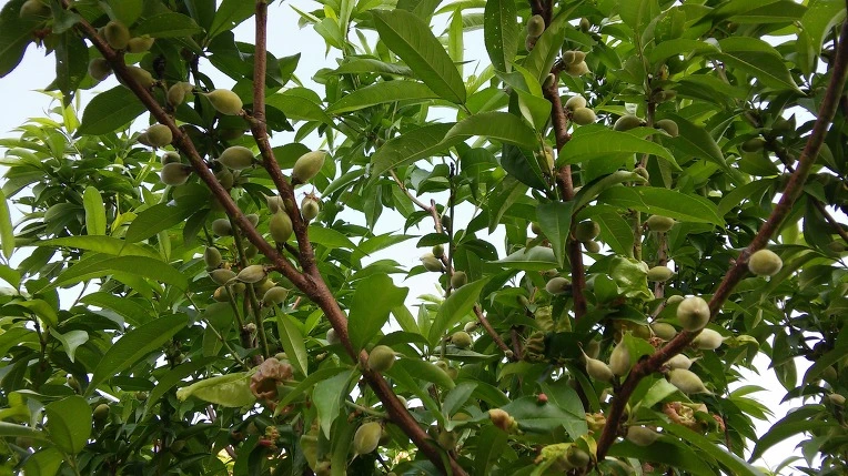 240C1A4E591BAE4134F361