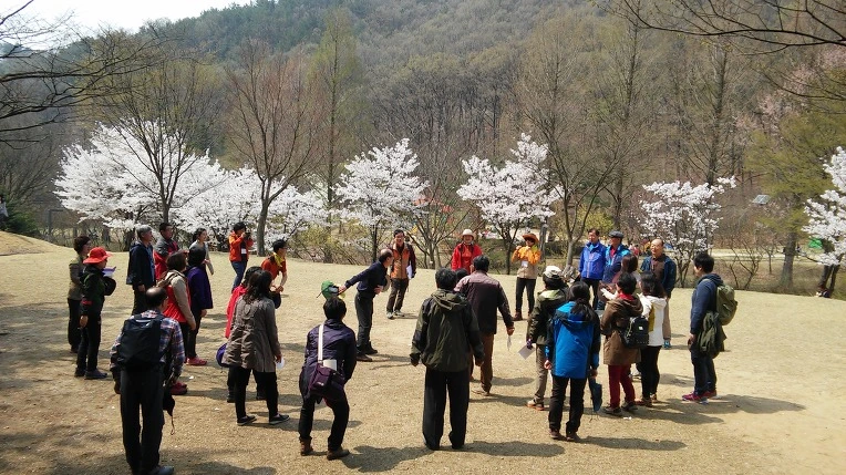 2449A14D57096A7623BF56