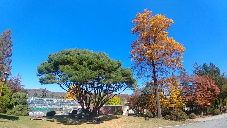 99C3D33C5C275B0130E6C1