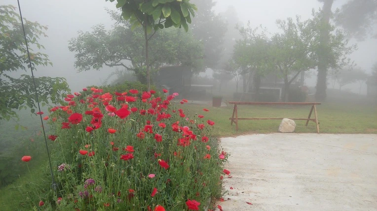 22559B335747BA2F382A3A