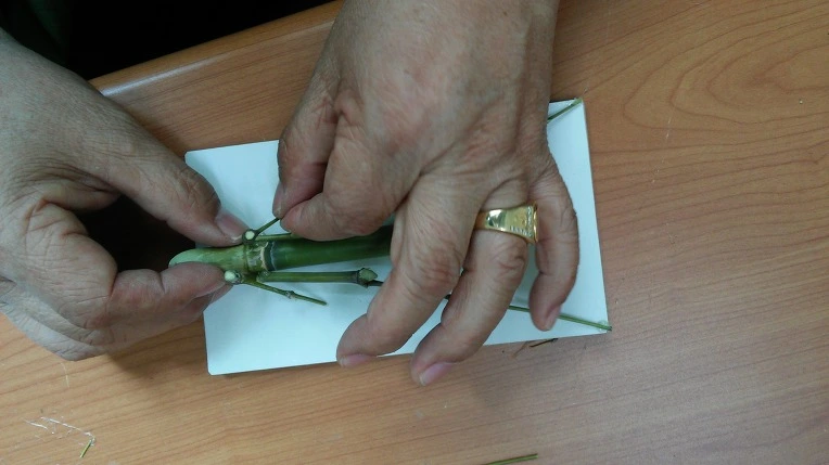 230ADA4A572480870E98CB