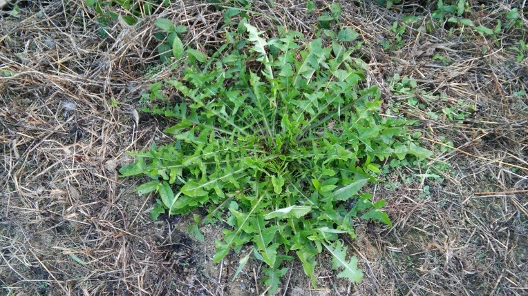 2340933557E4682F2FE685